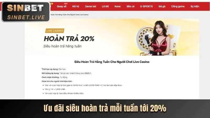 Hoàn trả hàng ngày new bac